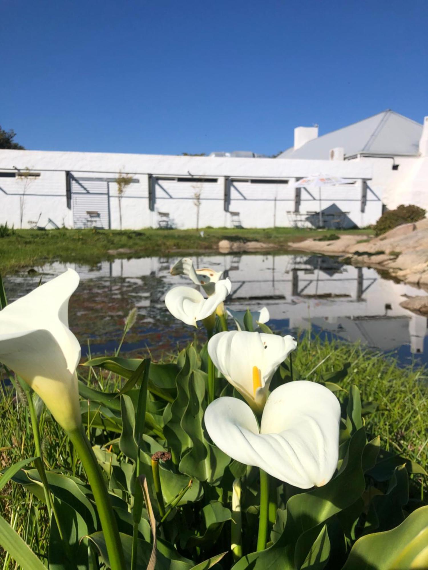 Swartwater !Khwa Ttu B&B 외부 사진